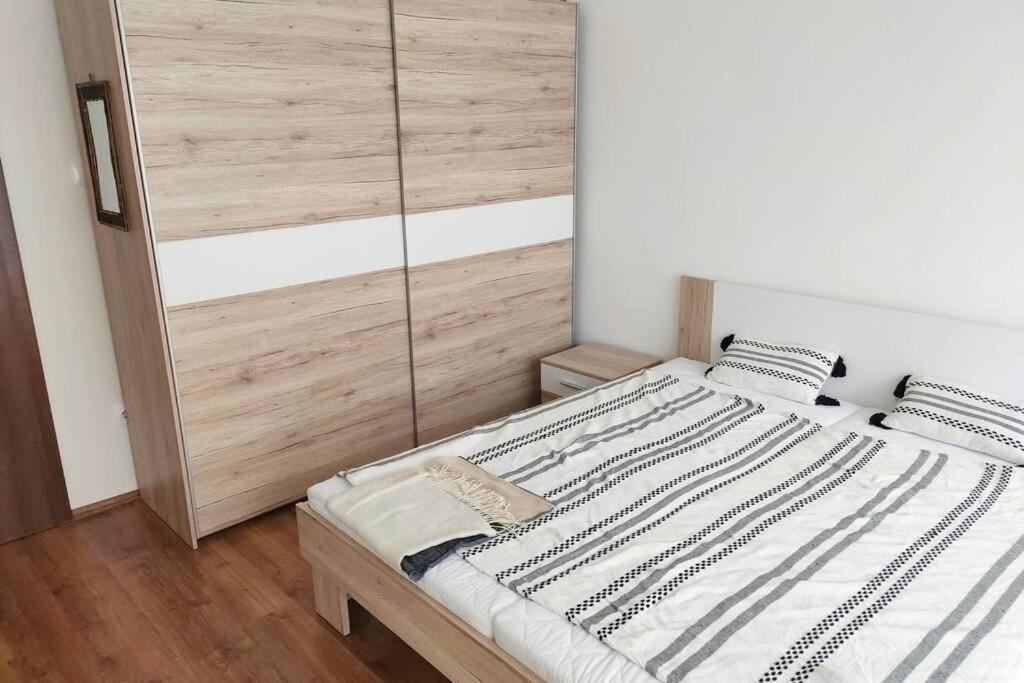 Plaza Apartman - City Center, Free Parking, Free Wifi เดเบรตเซน ภายนอก รูปภาพ